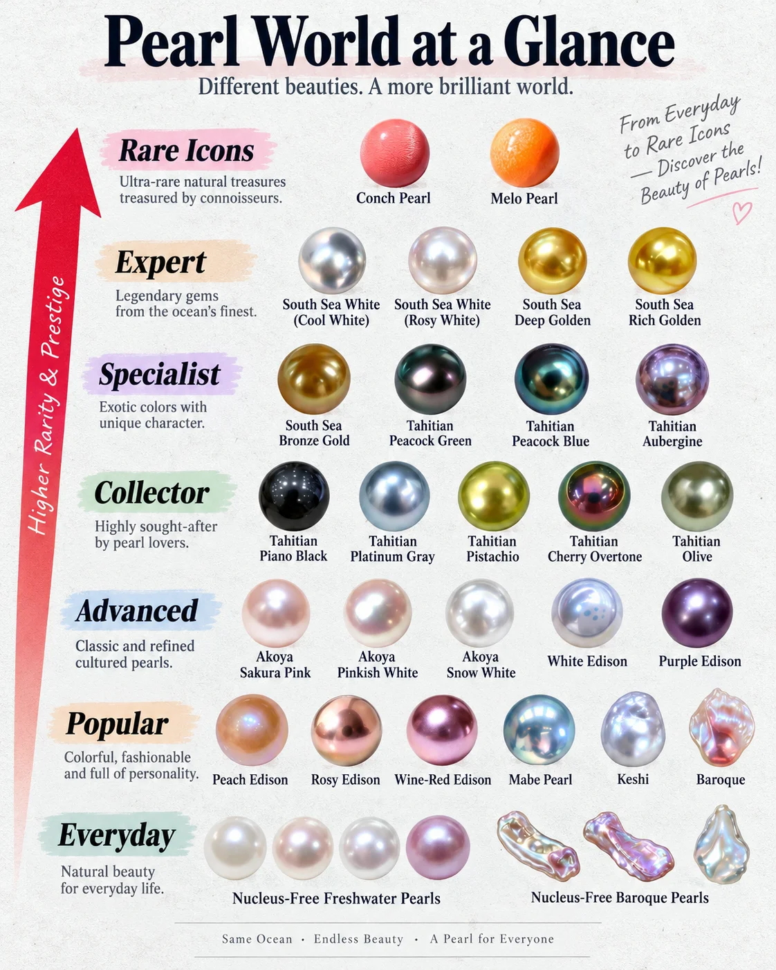 Overview of major pearl families and their different market positions