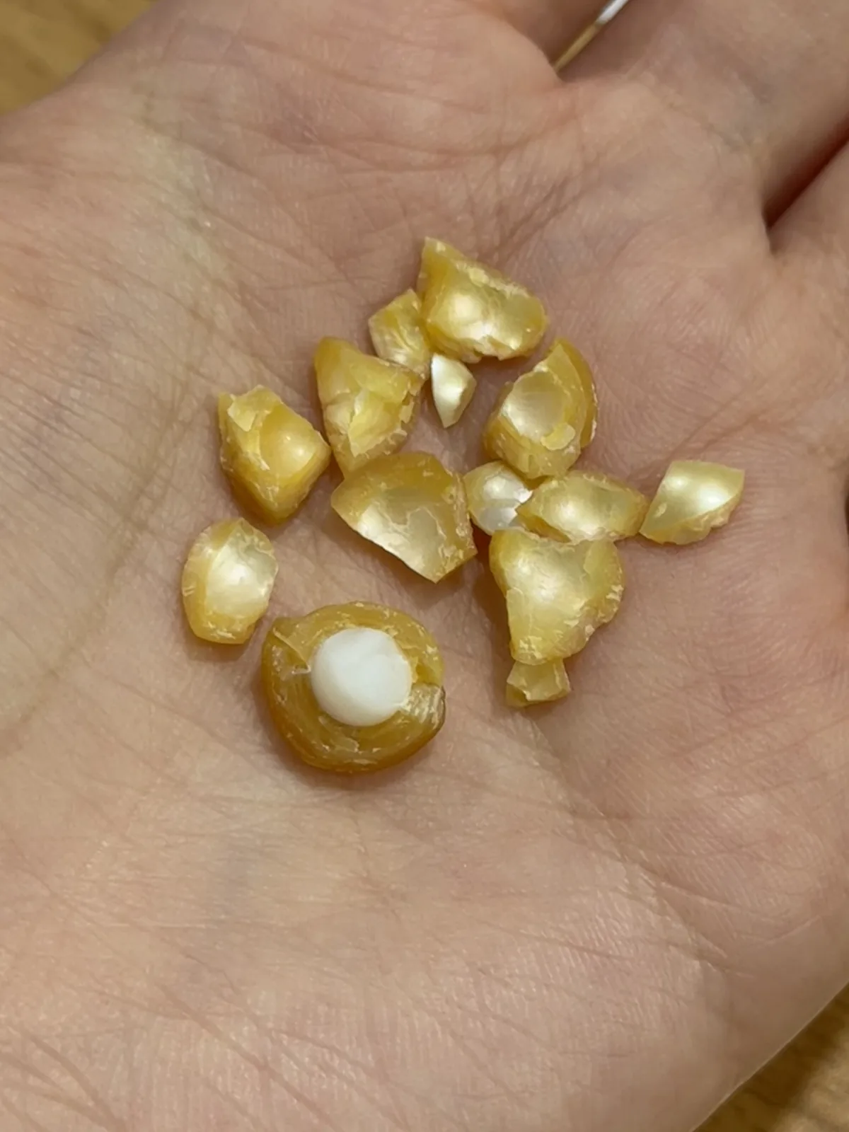 A broken golden South Sea pearl