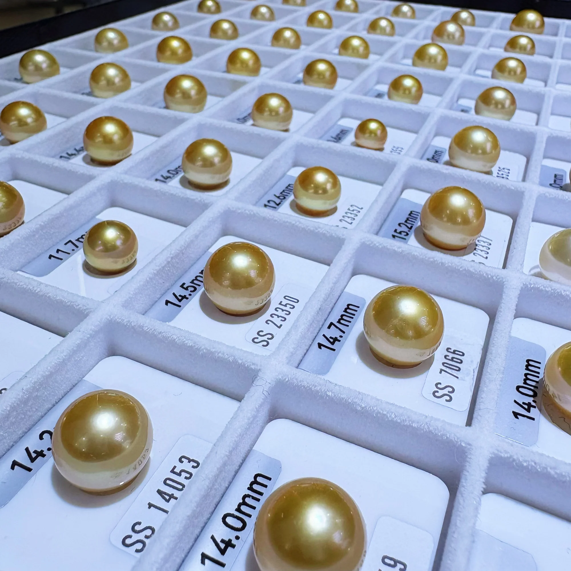 Golden South Sea Pearl, 9–14 mm — Single Pearl