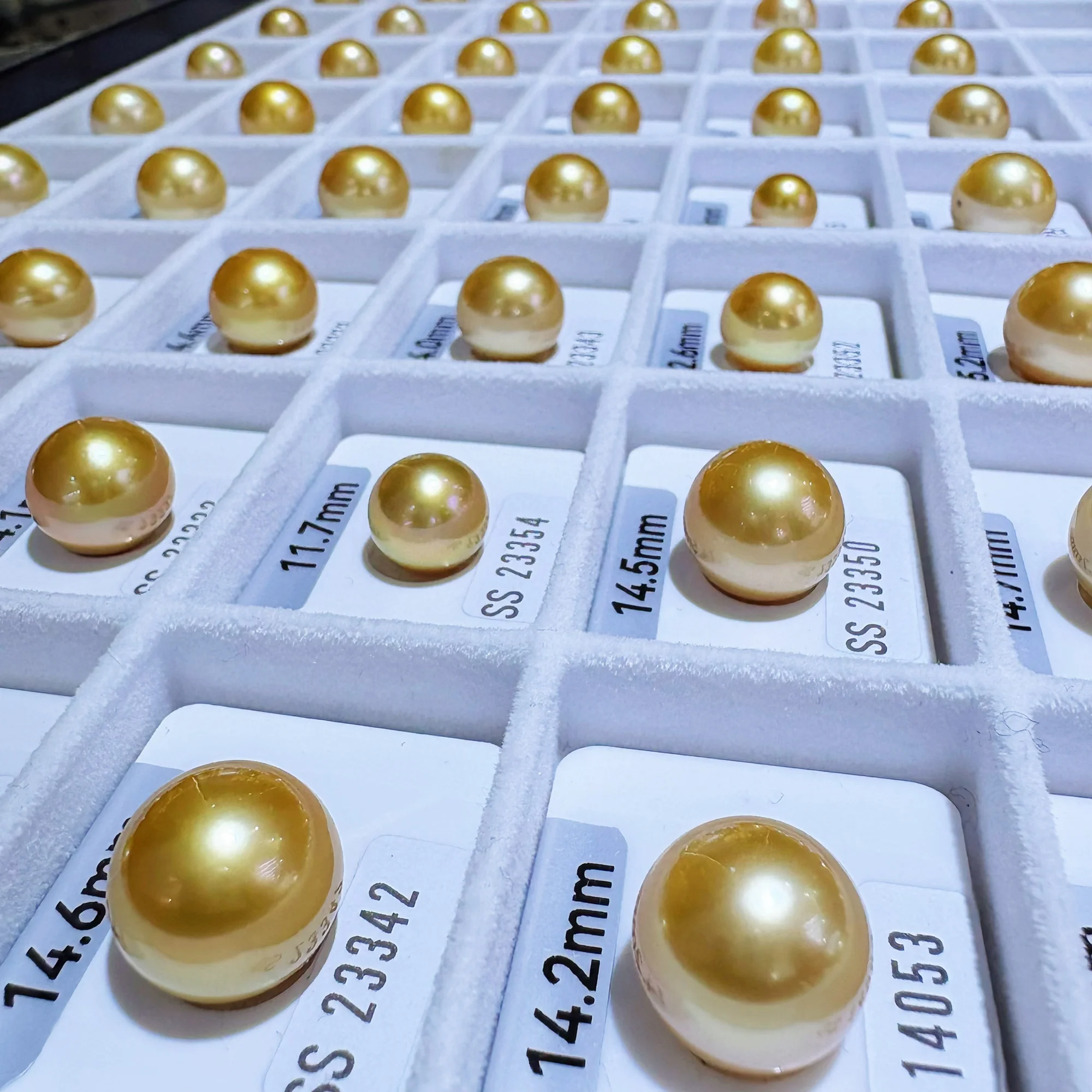 Golden South Sea Pearl, 9–14 mm — Single Pearl