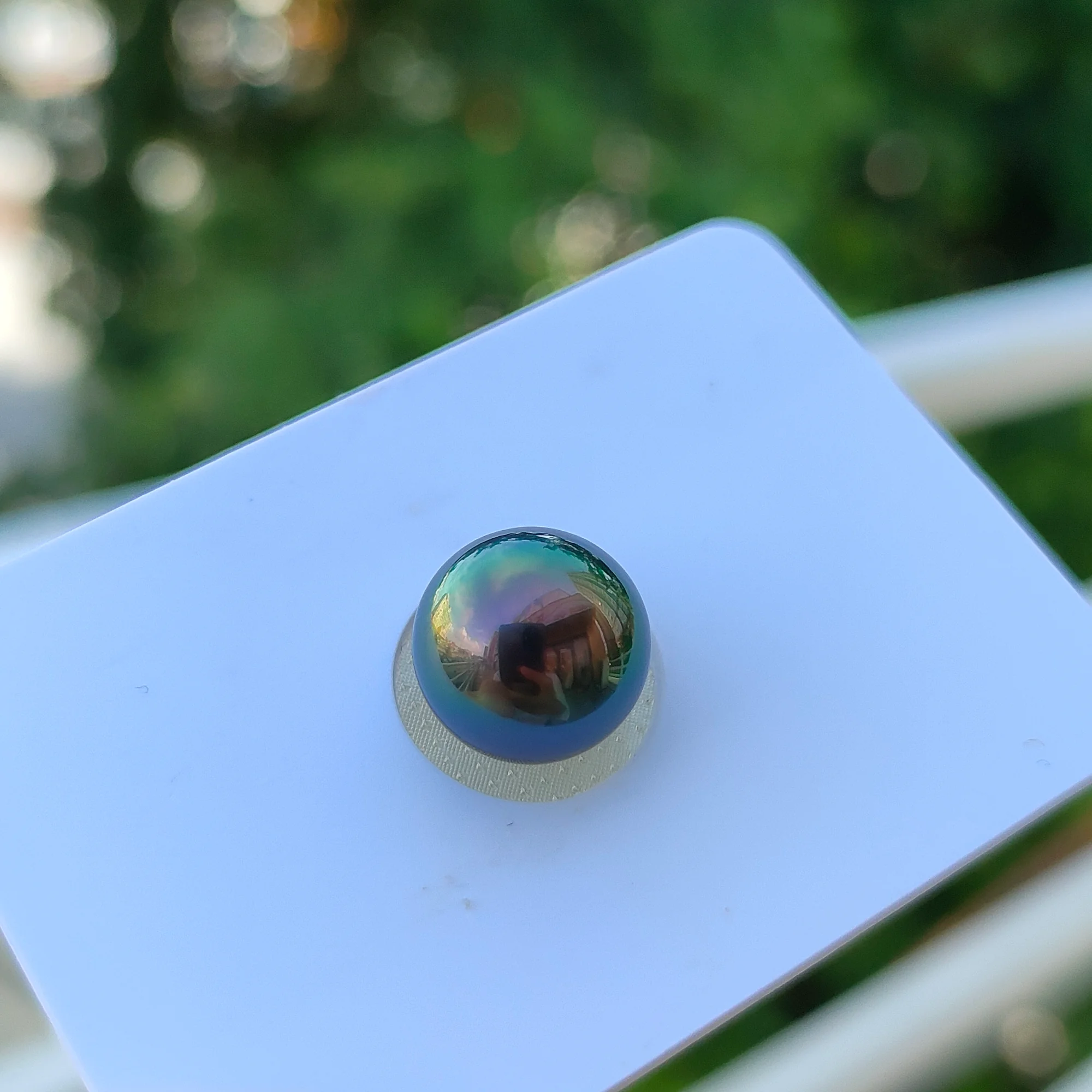 Peacock Green Tahitian Pearl, 9–12 mm — Single Pearl