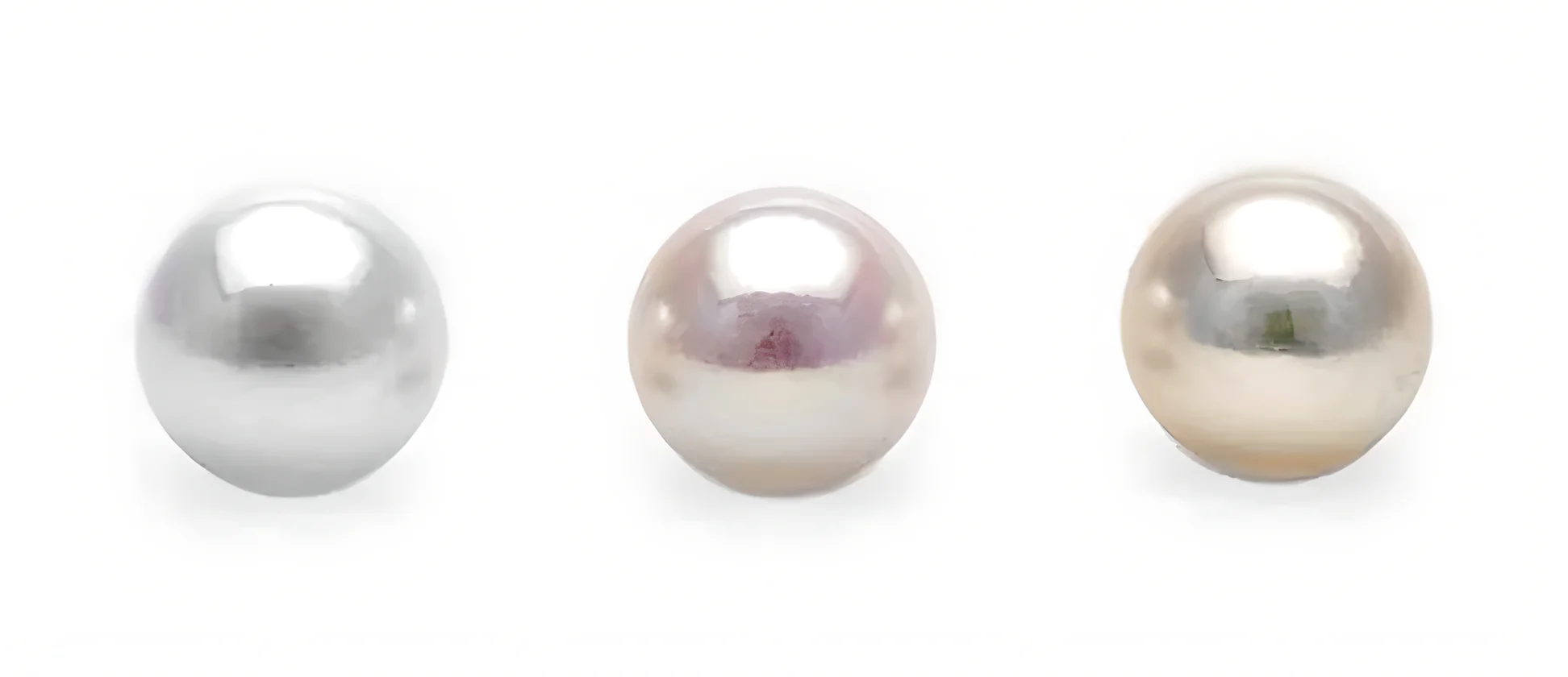 Akoya pearls showing white and cream body colors with overtones