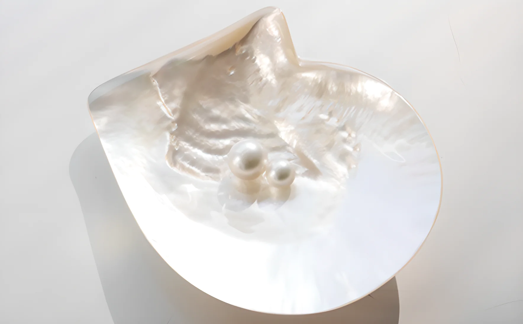 White South Sea pearls with silver-white bodycolor and soft satiny glow