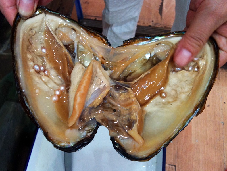 Close-up of real cultured freshwater pearls showing natural luster and slight surface variation