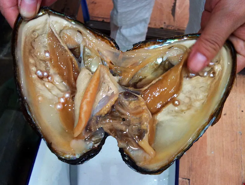 Close-up of real cultured freshwater pearls showing natural luster and slight surface variation